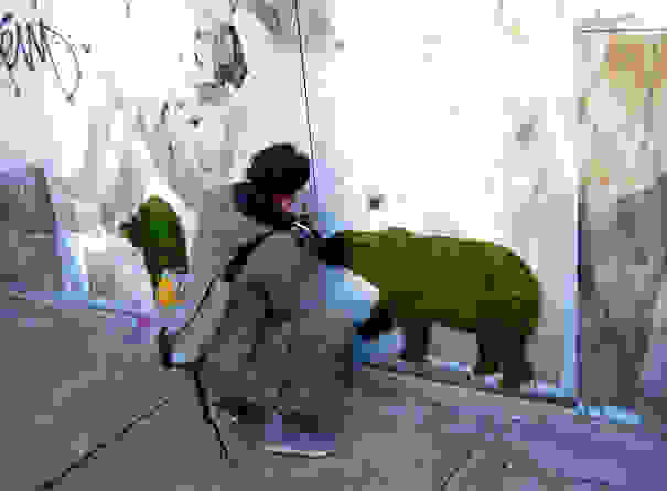 moss-graffiti-4.jpg