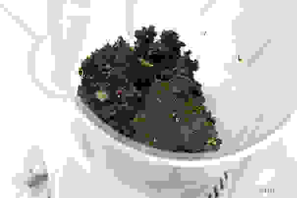 moss3__605.jpg