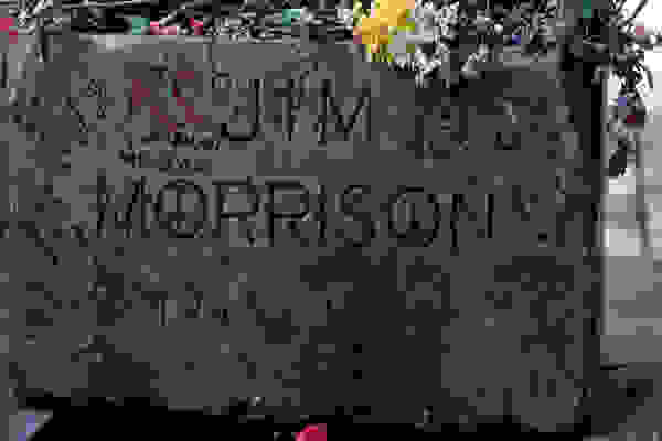 mstvdsdmm1