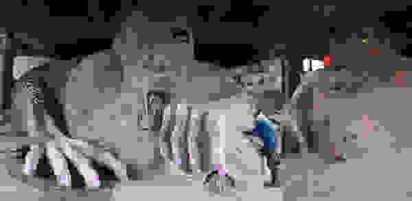 mstvdsdmm12