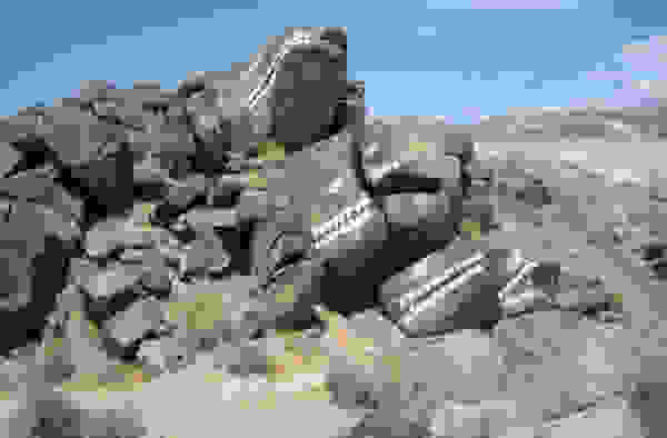 mstvdsdmm29