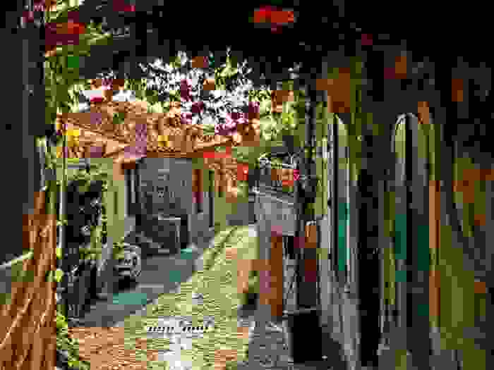 mytl-17.jpg