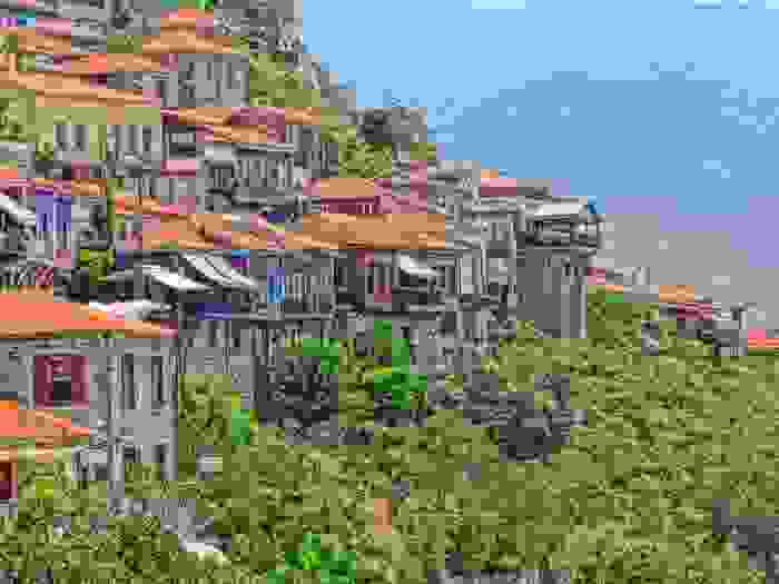 mytl-19.jpg