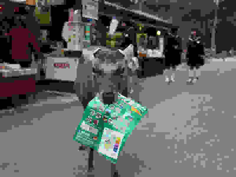 nara-deer7.jpg