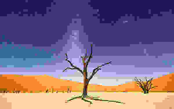 natiwin6.jpg