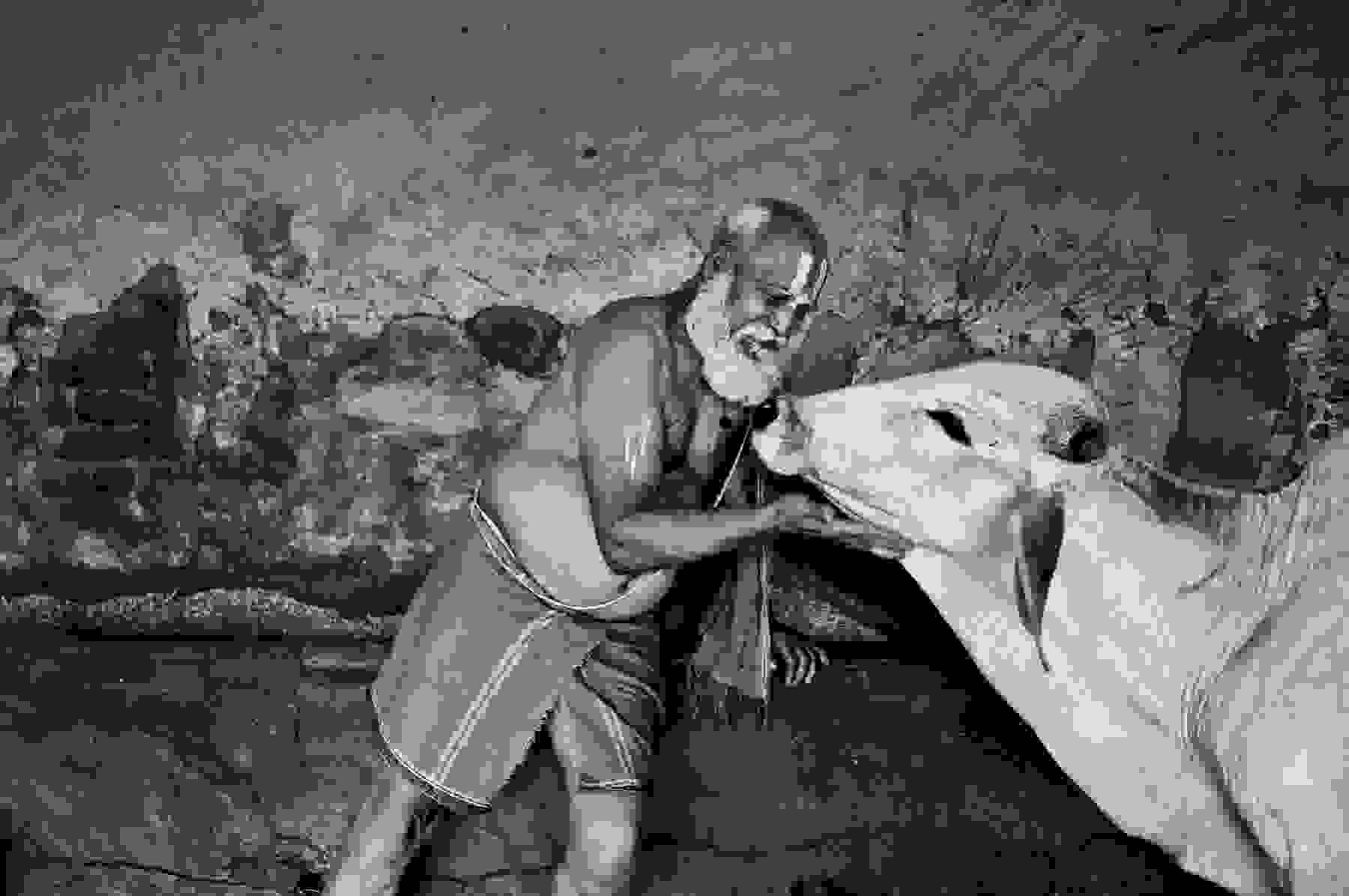 INDIA-10941