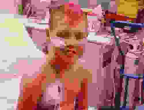 mikros3