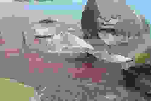 tertsa7