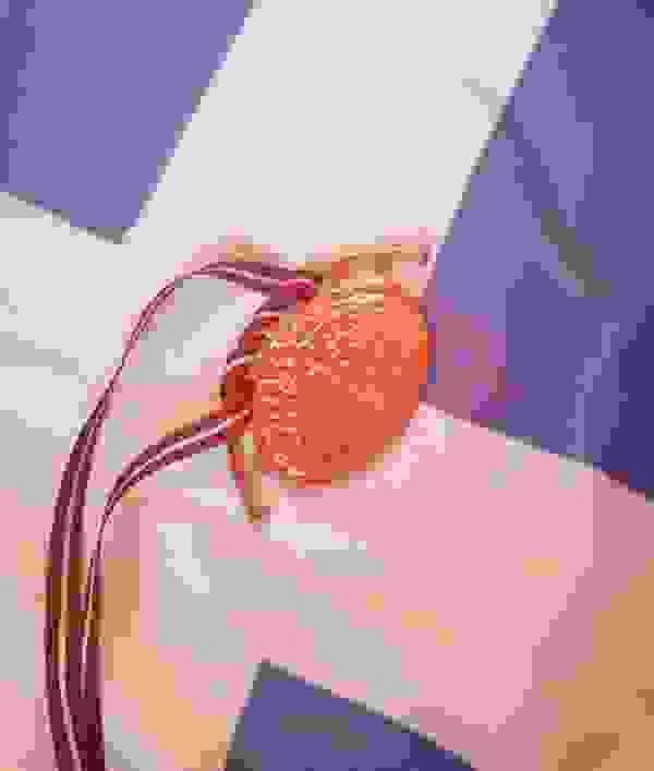 xrysa-elinopoula1