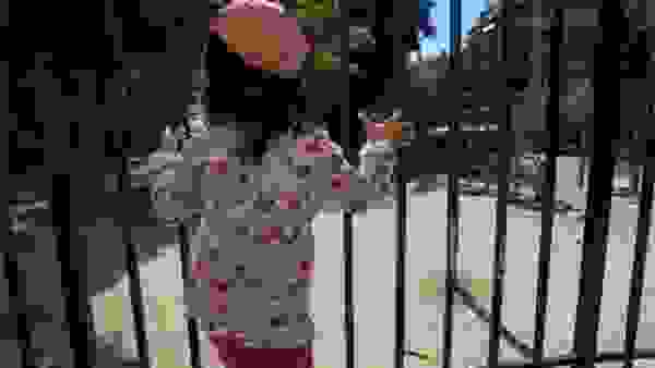 xrysh