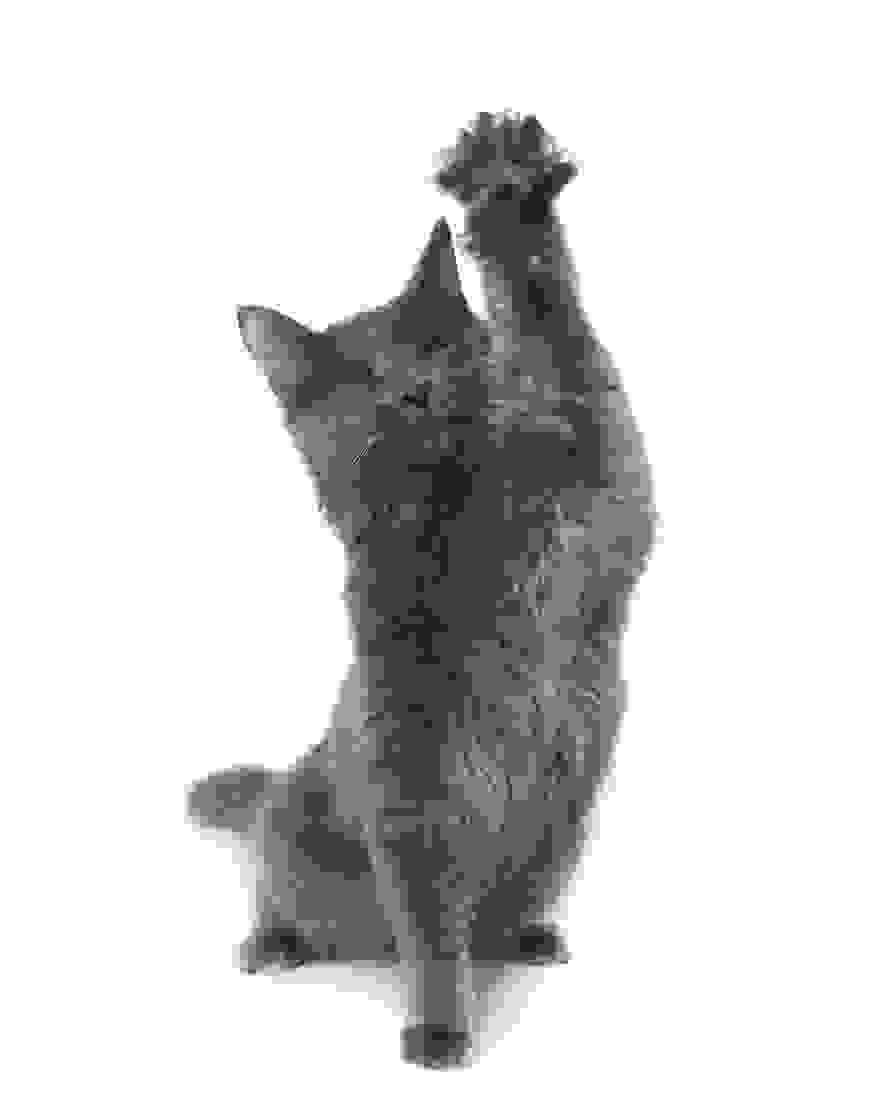 nimh-i-teleiotita-ton-ateleion-.jpg