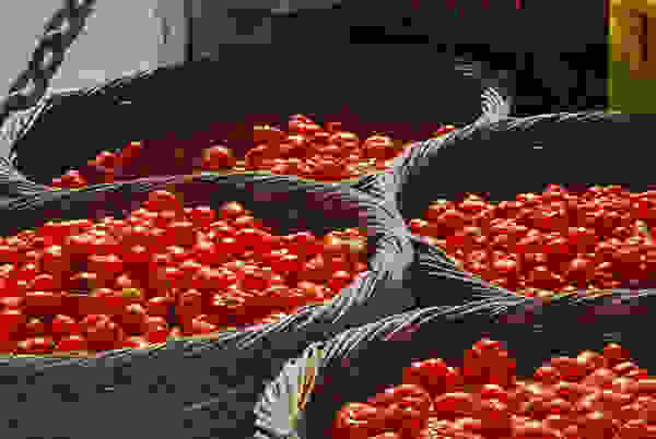 ntomatinia.jpg