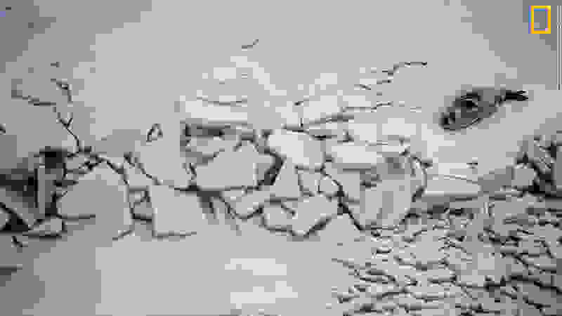 oi-epiptoseis-tis-klimatikis-allagis2.jpg