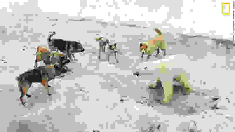 oi-epiptoseis-tis-klimatikis-allagis7.jpg