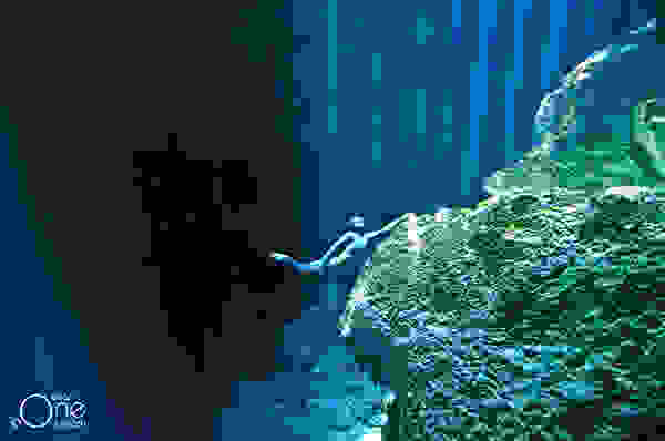 one-ocean-one-breath-012.jpg