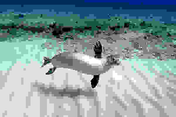 one-ocean-one-breath-016.jpg
