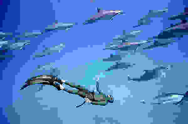 one-ocean-one-breath-05.jpg