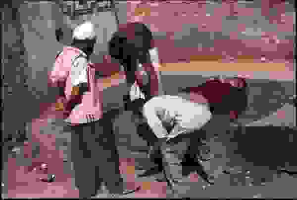 othet_india15.jpg