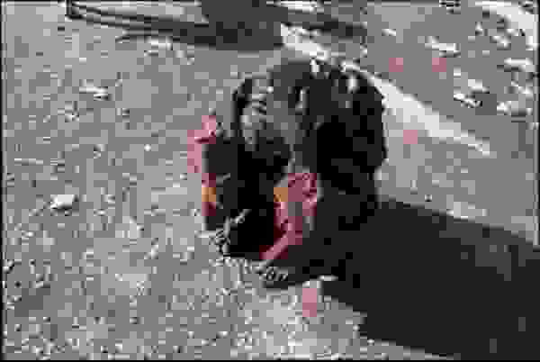 othet_india17.jpg