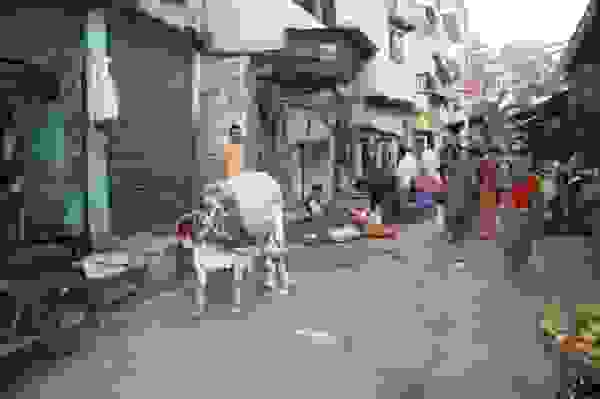 othet_india28.jpg