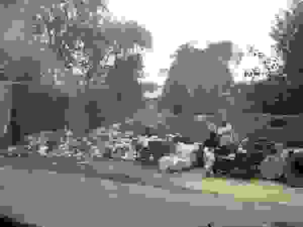 othet_india36.jpg