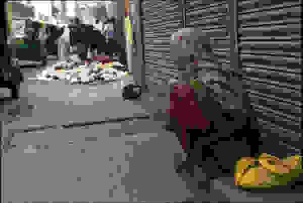 othet_india42.jpg