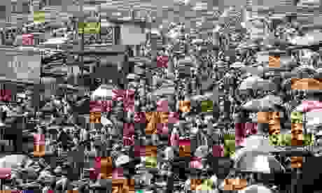 overpopulation2.jpg