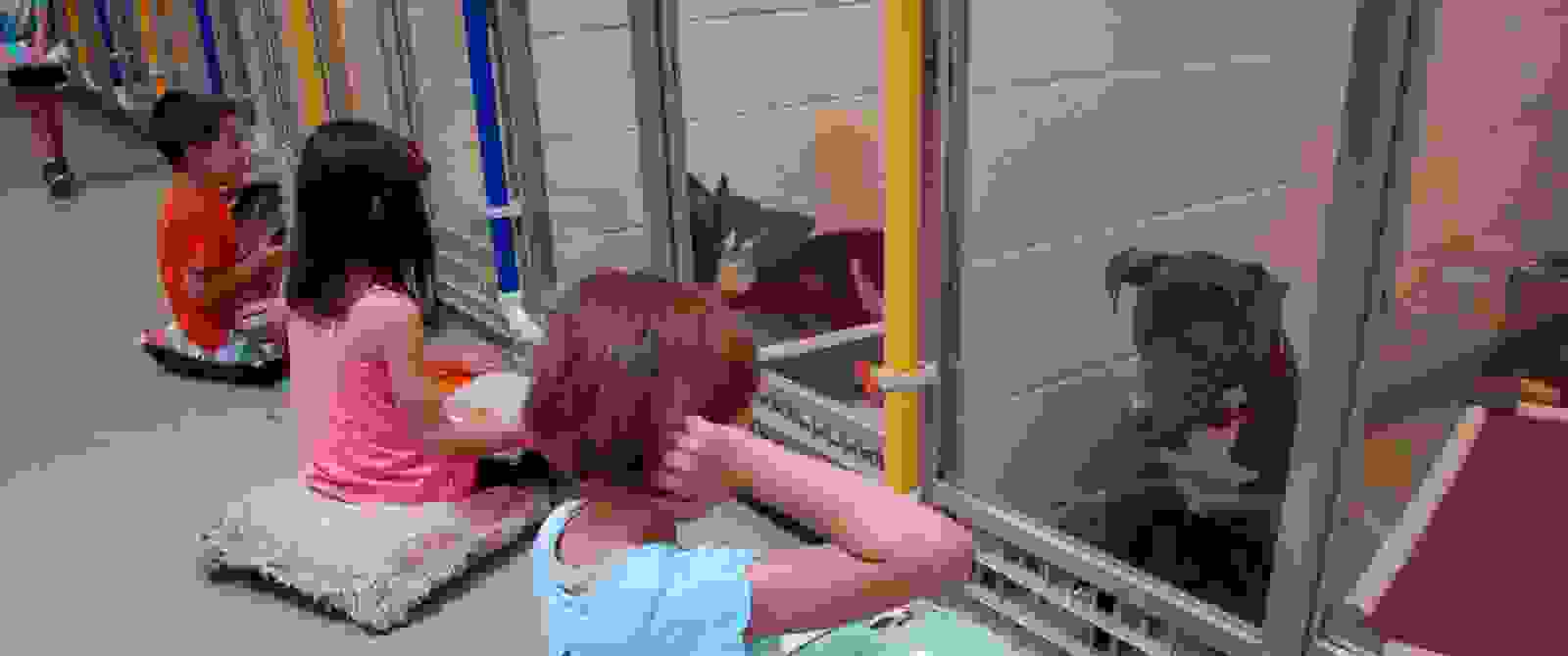 paidia-diavazoun-se-adespota-skylia0.jpg
