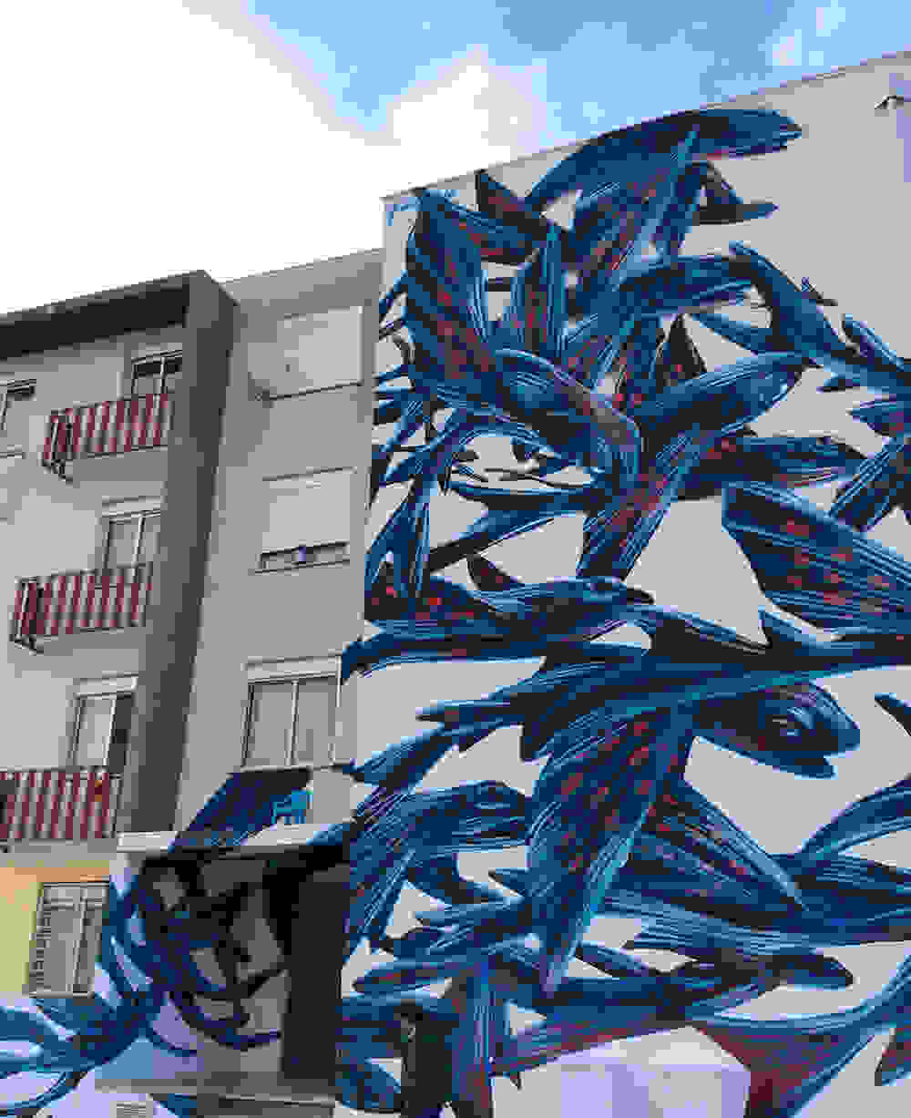 pantonio-4.jpg
