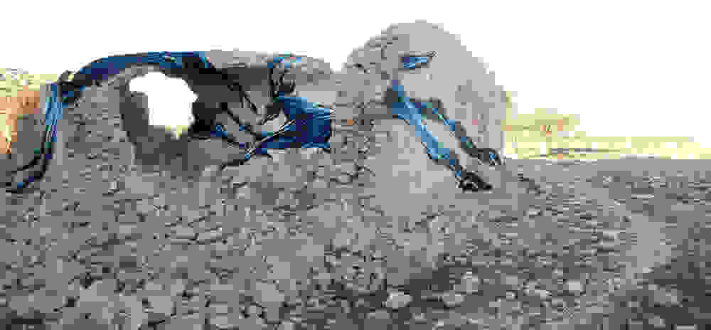 pantonio-8.jpg