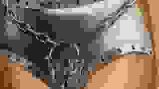 parthenia.jpg