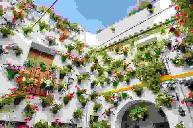 patios-de-cordoba-22.jpg