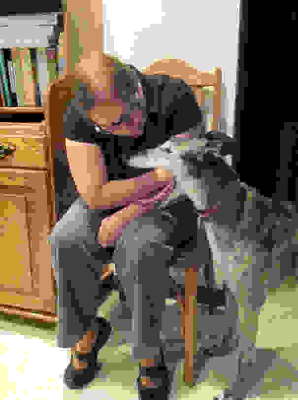 pefectly-timed-dog-photos-63.jpg