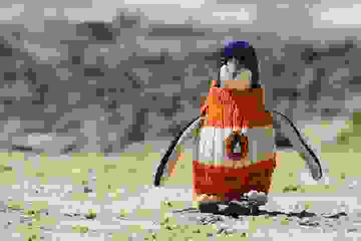 penguin-sweater4.jpg