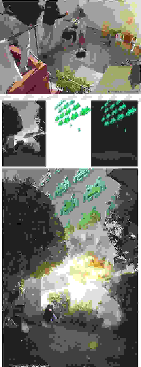 photoshop5.jpg