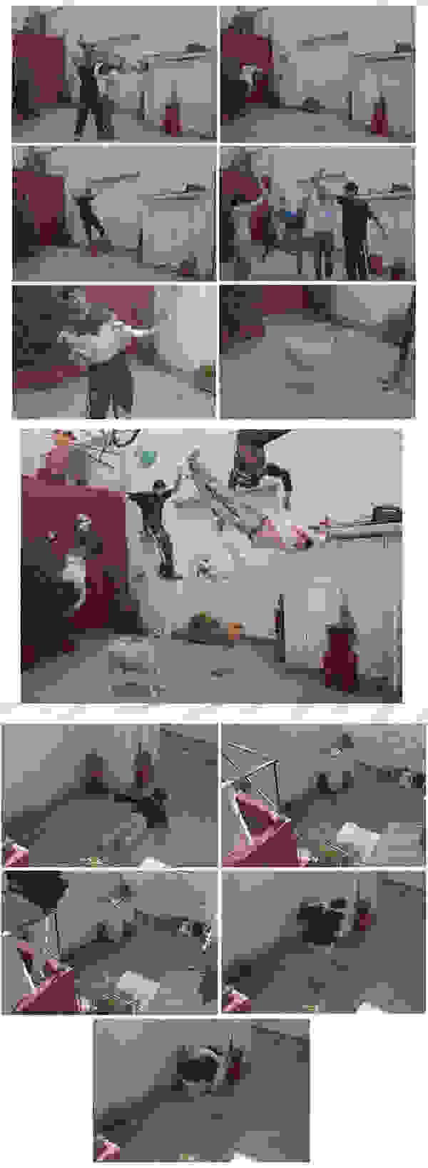 photoshop5a.jpg