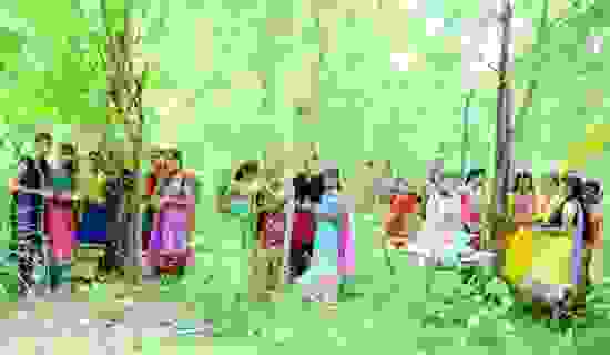 piplantri2.jpg