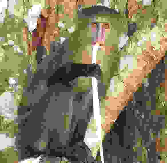 pithi3.jpg