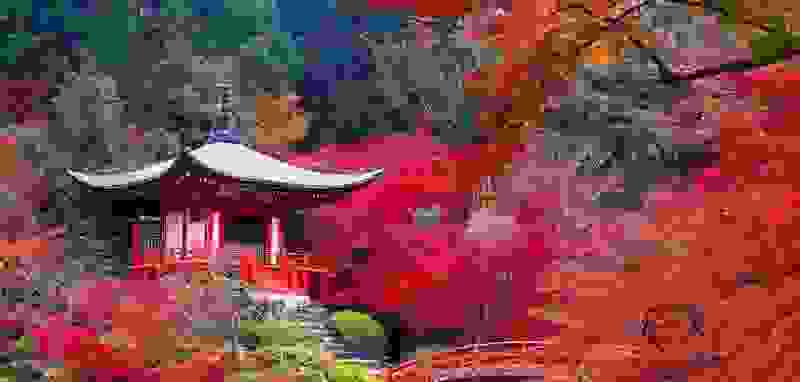 polyxromes-gonies-tou-planiti-Daigo-ji-Temple-in-Autumn.jpg