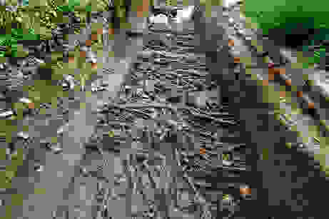 poveglia-h-italiki-spinalogka1.jpg