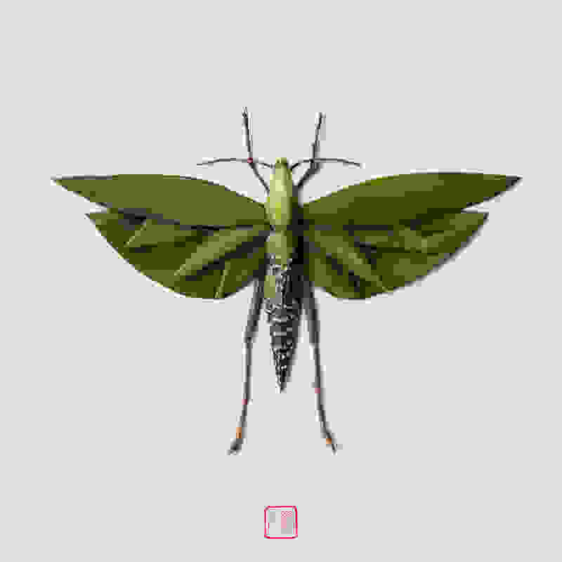 raku-inoue-insect-23.jpg