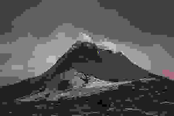 raycollins1.jpg