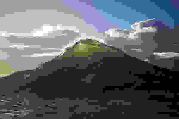 raycollins2.jpg