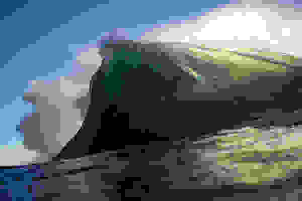 raycollins9.jpg