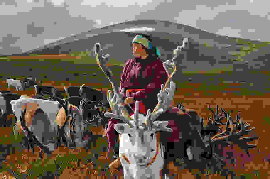 reindeer-people-hamid-sardar-afkhami-6.jpg