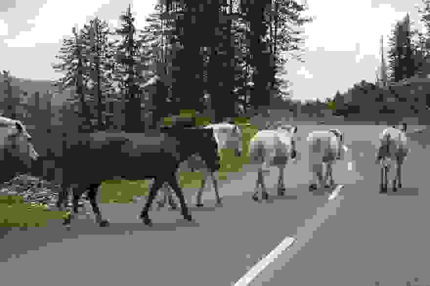 road30.jpg