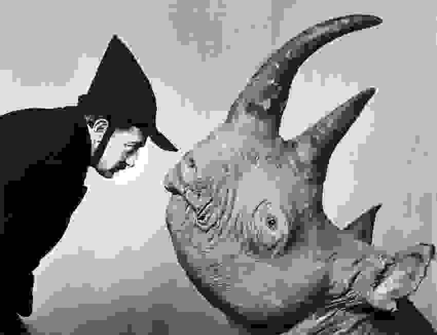 salvador-dali-rhino.jpg