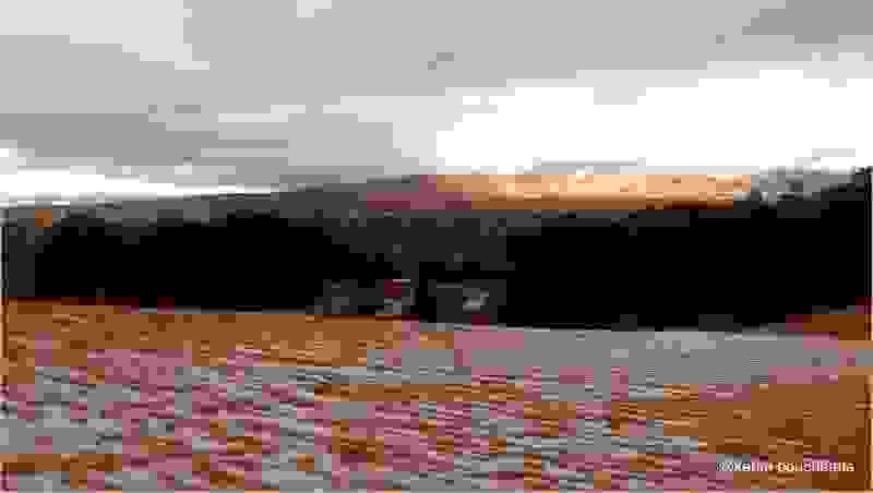 saxara-xioni12.jpg