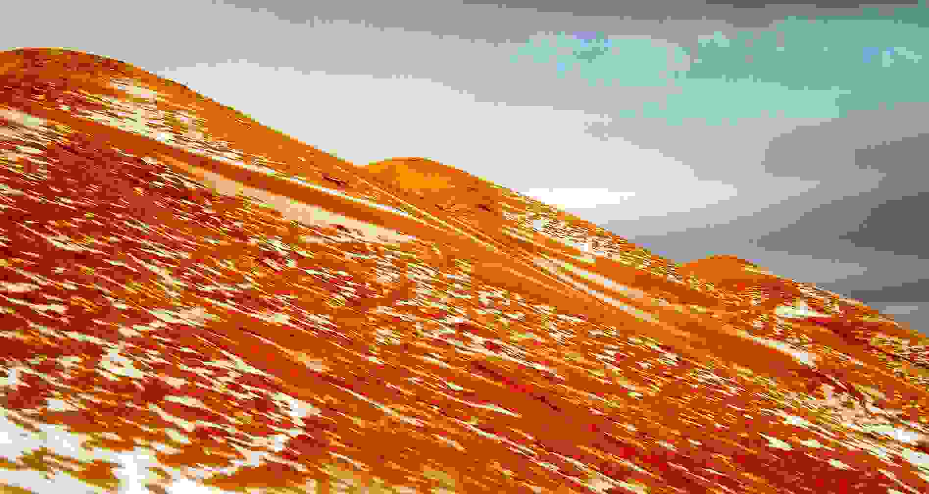 saxara-xioni4.jpg