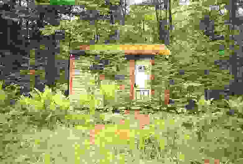 se-mia-kalyva-sto-pouthena-111.jpg
